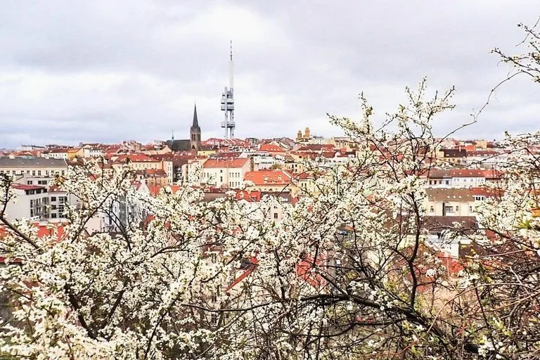 Z Balkánu přes Žižkov 29.3.2026